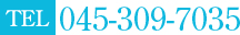 045-309-7035