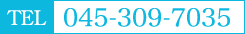 TEL:045-309-7035